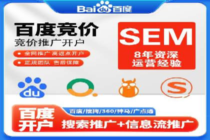 某电商平台的SEM推广实践与效果展示
